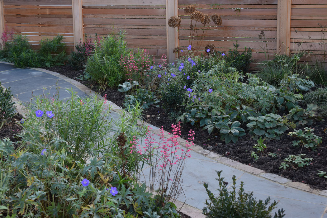 Bespoke cedar fence and planting in this Acton front garden