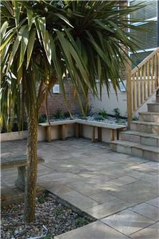 Cordyline and paving