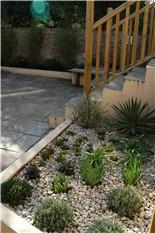 Lavenders, herbs and irises