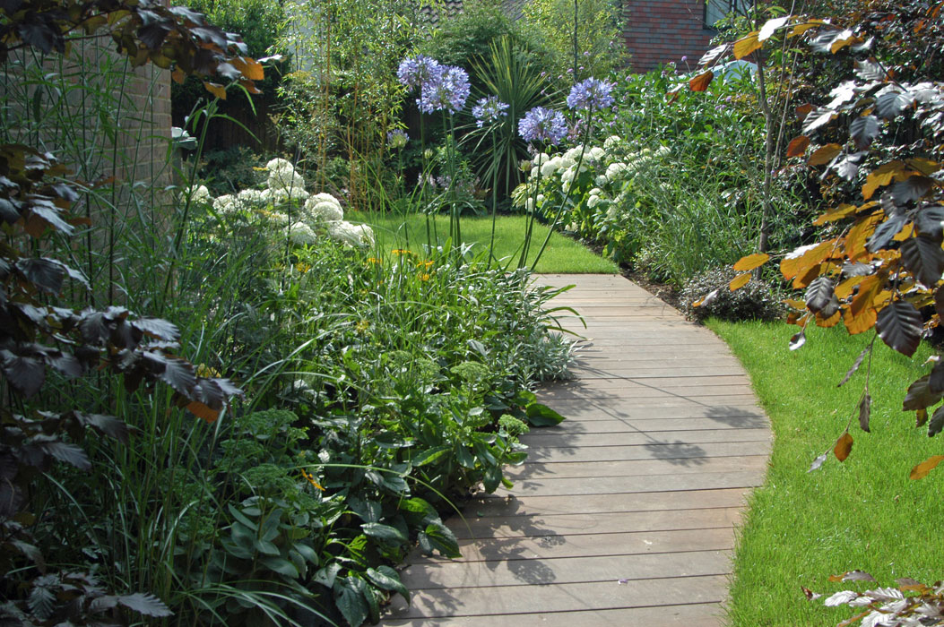 Curved boardwalk, with planting of perennials, grasses and Hydrangeas
