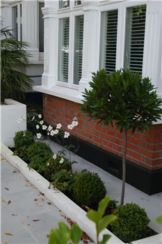 Front Garden Ideas London breeze garden design - design for a contemporary front garden Front Garden Ideas London breeze garden design - design for a contemporary front garden