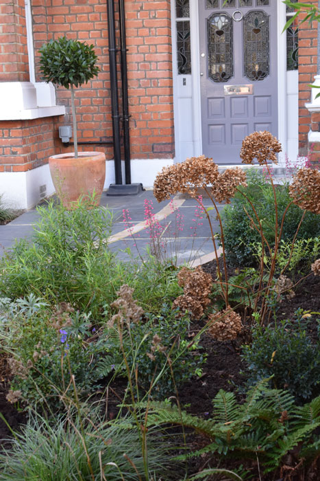 Overall view of the garden design