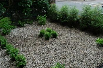 Garden before
