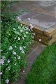 Paving detail