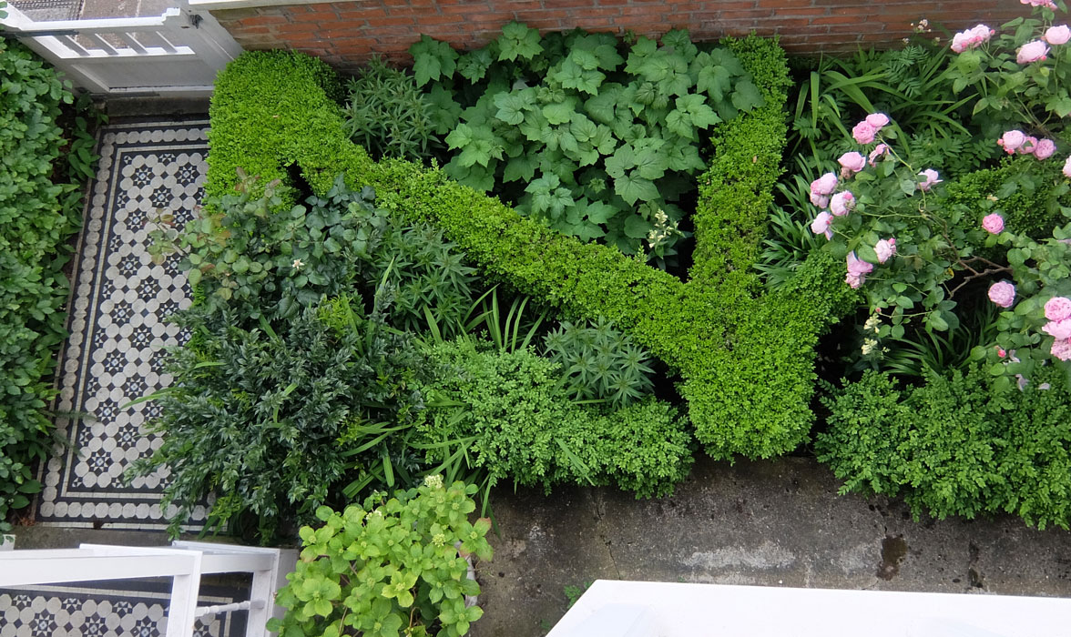 View of front garden from above- early summer