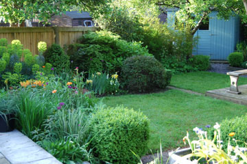 My garden!