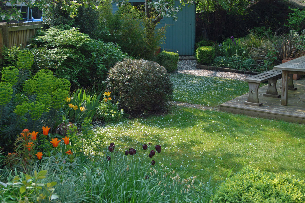 Spring blossom and bulbs