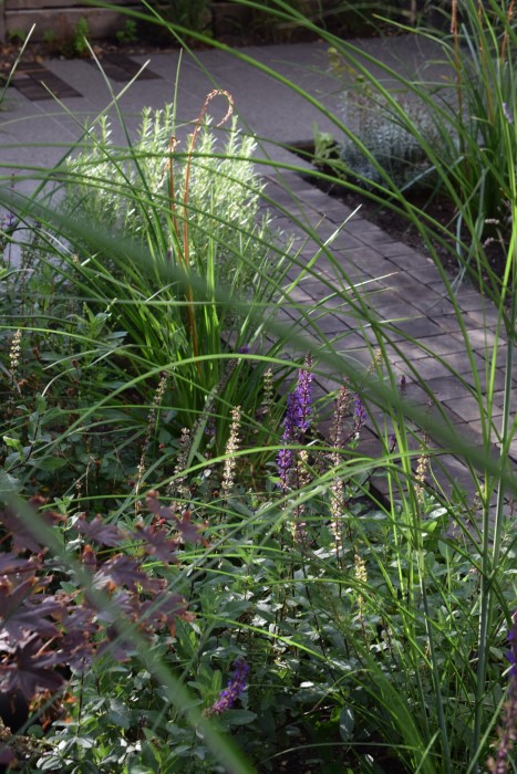 Breeze Garden Design - Front Garden, Acton, London