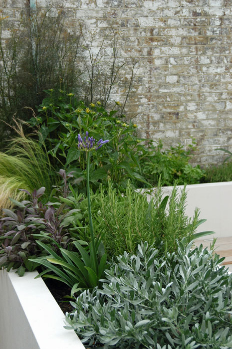 Raised bed stuffed full of herbs and some flowers