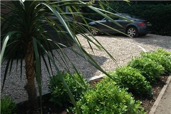 Garden before