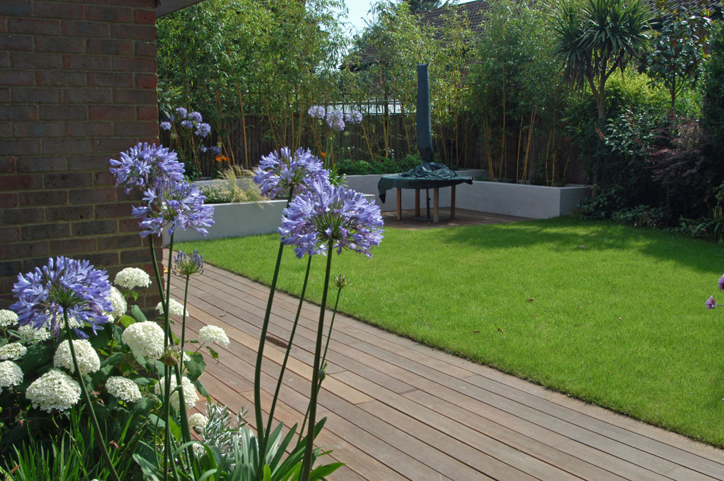 View across the garden