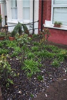 How the garden looked before