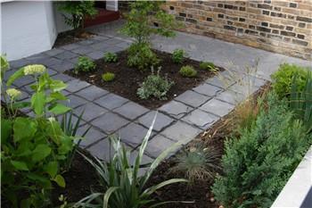 Plants include Hydrangea 'Annabelle', Astelia and Pittosporum tobira 'Nanum'
