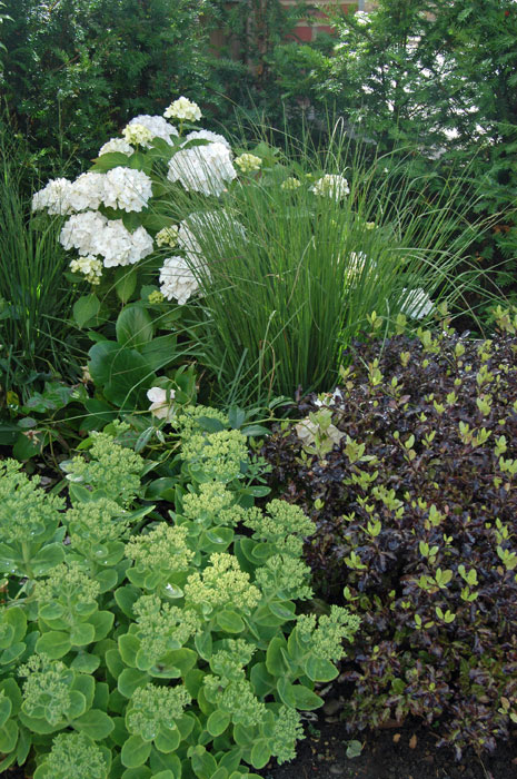 Planting in the side borders