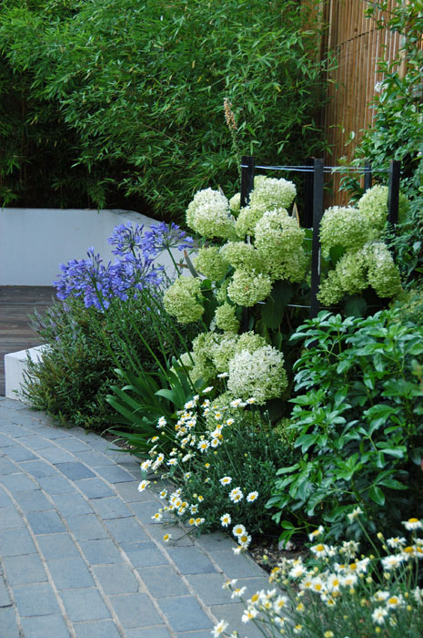 Curved wall and black limesteon path