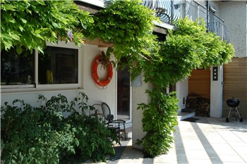 Tomatoes growing in planters