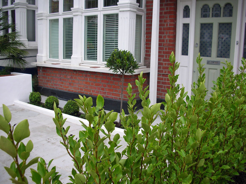 View of front garden